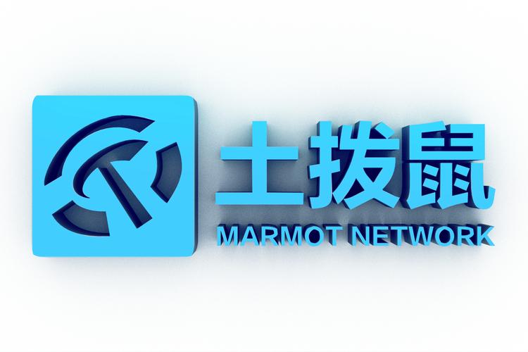 上海土拨鼠网络科技